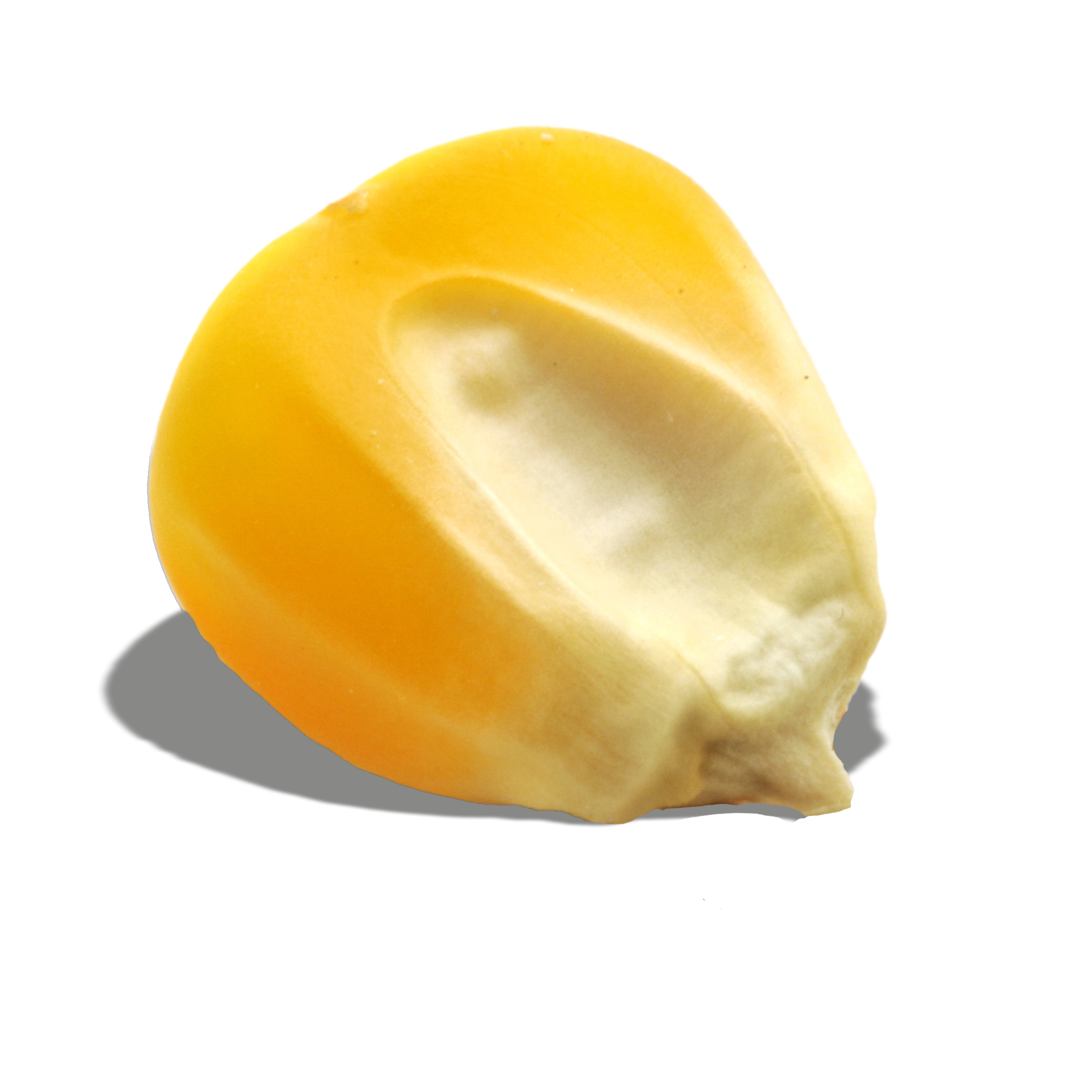 Maiscorn